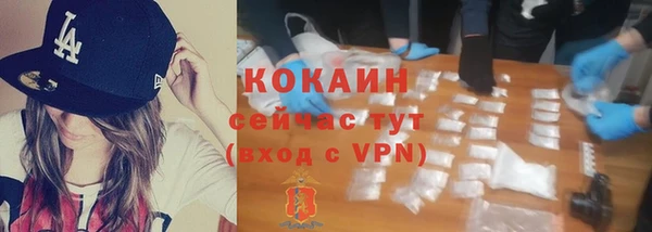 амф Бородино
