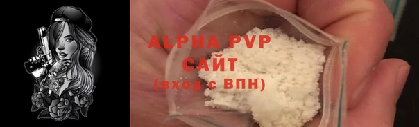 амф Бородино