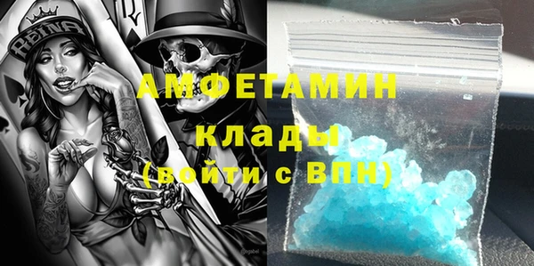 амф Бородино