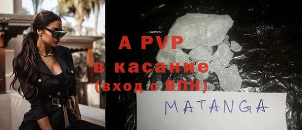 амф Бородино