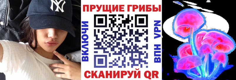 продажа наркотиков  Грайворон  Псилоцибиновые грибы Magic Shrooms 